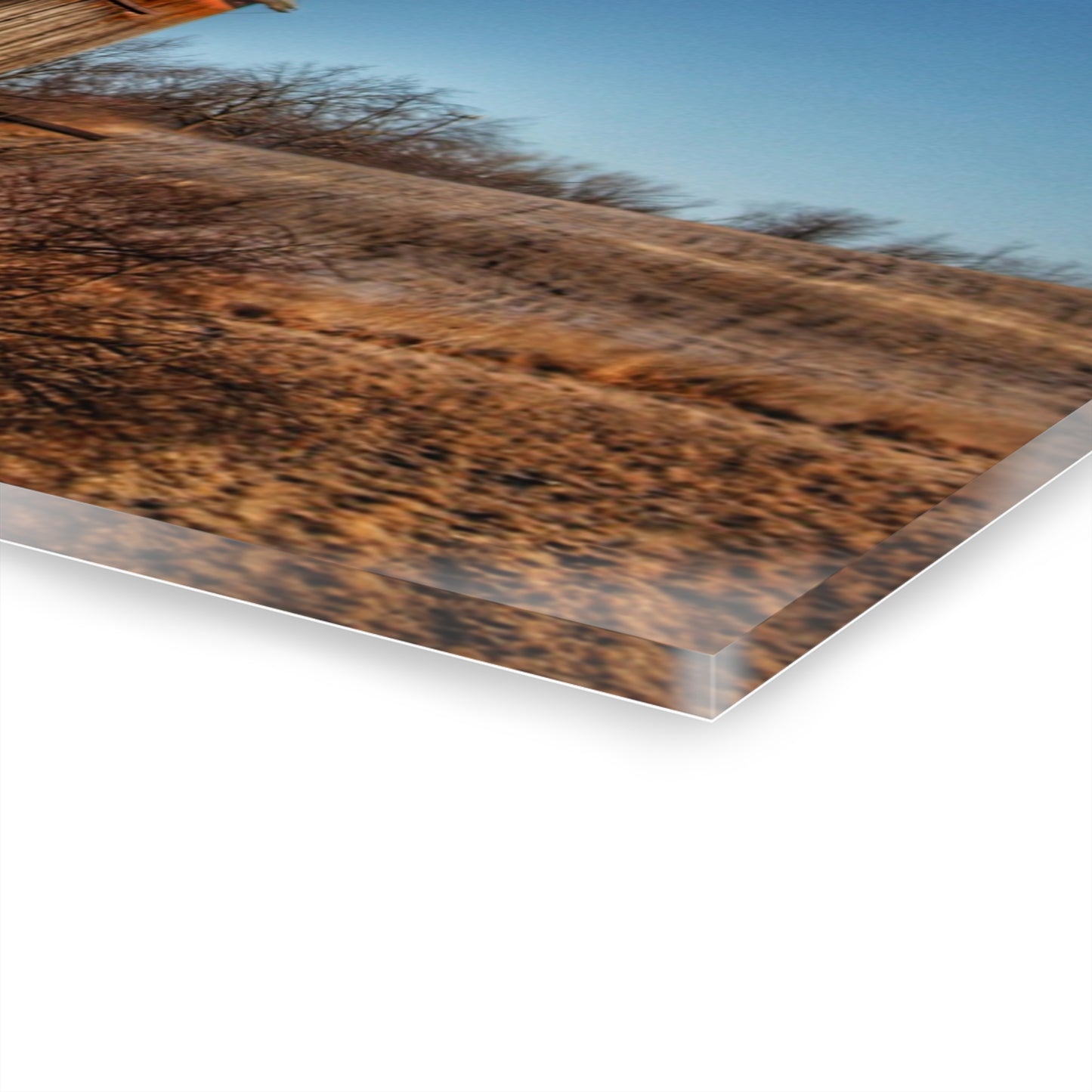 U R There Photography Newark Road Brown Beauty Rustic Farmhouse Acrylic Wall Print