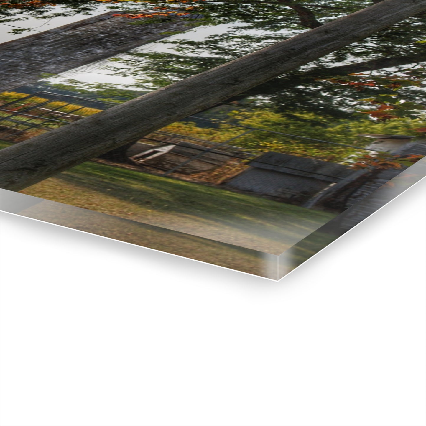 U R There Photography Hidden Grey of Tuscola Rustic Farmhouse Acrylic Wall Print