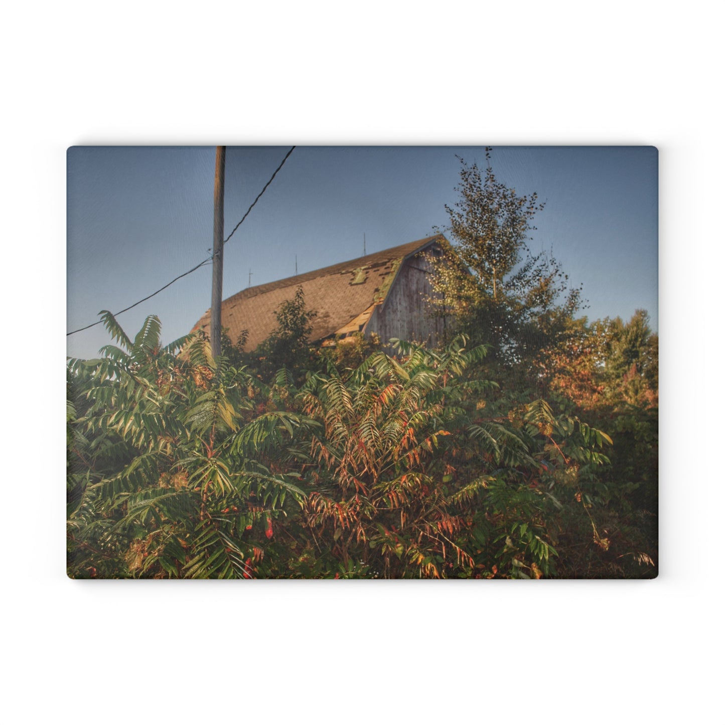 U R There Photography Hidden on Bearanger Road Rustic Farmhouse Tempered-Glass Cutting Board