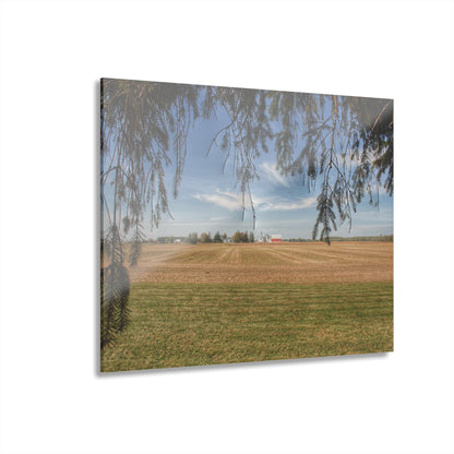 U R There Photography Cass City Farm Rustic Farmhouse Acrylic Wall Print