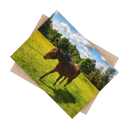 U R There Photography Brown Beauty II Rustic Farmhouse Decorative Ceramic Tile 6" × 8" Glossy