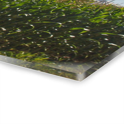 U R There Photography Above the Corn on Tuscola Road Rustic Farmhouse Acrylic Wall Print