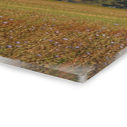 U R There Photography Fargo Road Little Red Rustic Farmhouse Acrylic Wall Print