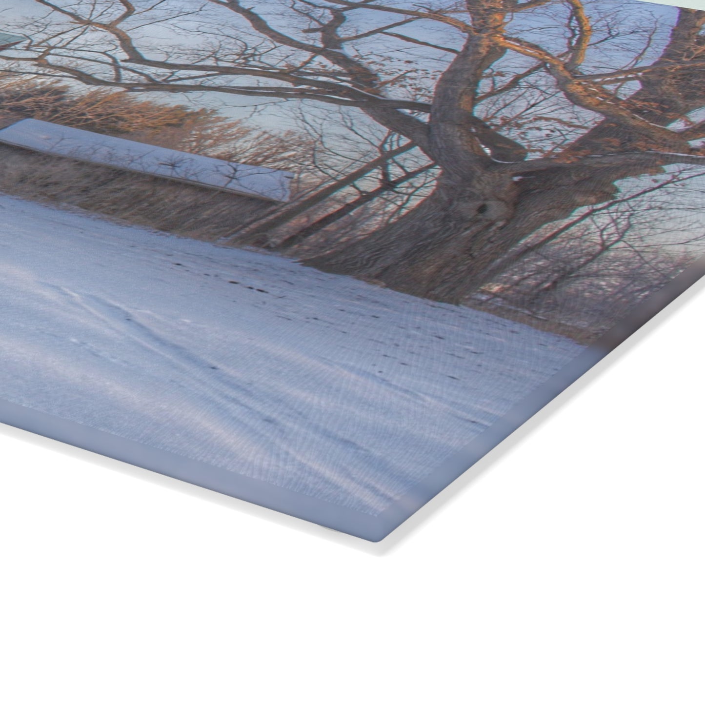 U R There Photography Webster Road Red I Rustic Farmhouse Tempered-Glass Cutting Board