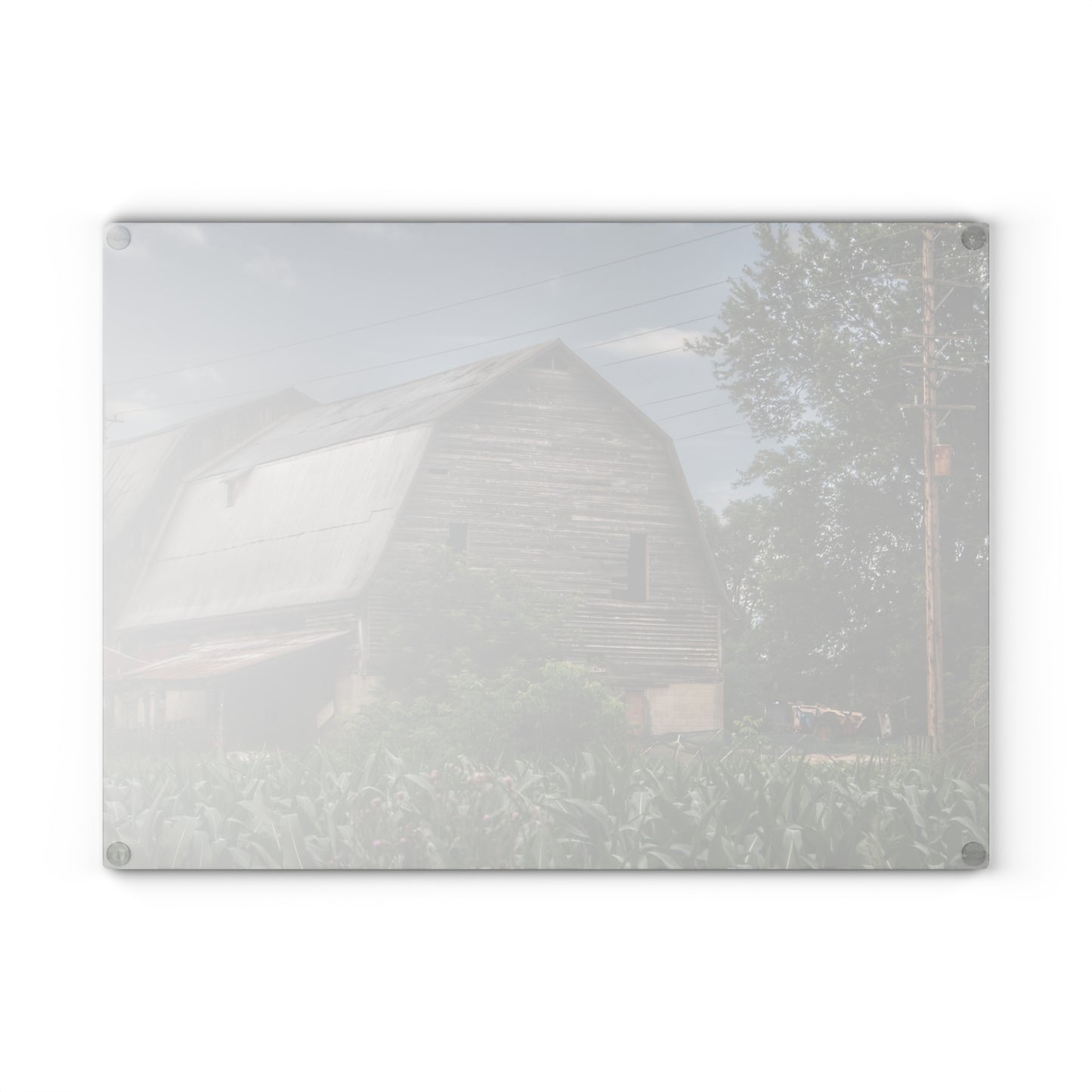 U R There Photography Murphy Lake Road Grey II Rustic Farmhouse Tempered-Glass Cutting Board