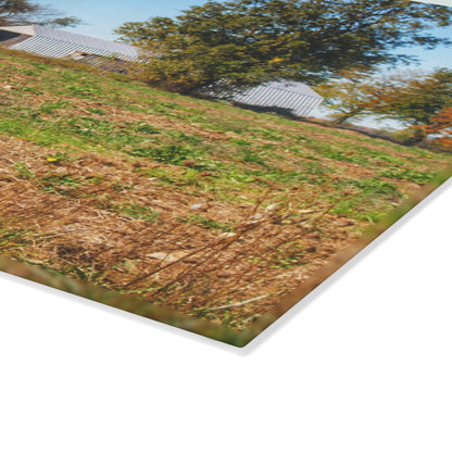 U R There Photography Freiberger Road Greys Rustic Farmhouse Tempered-Glass Cutting Board