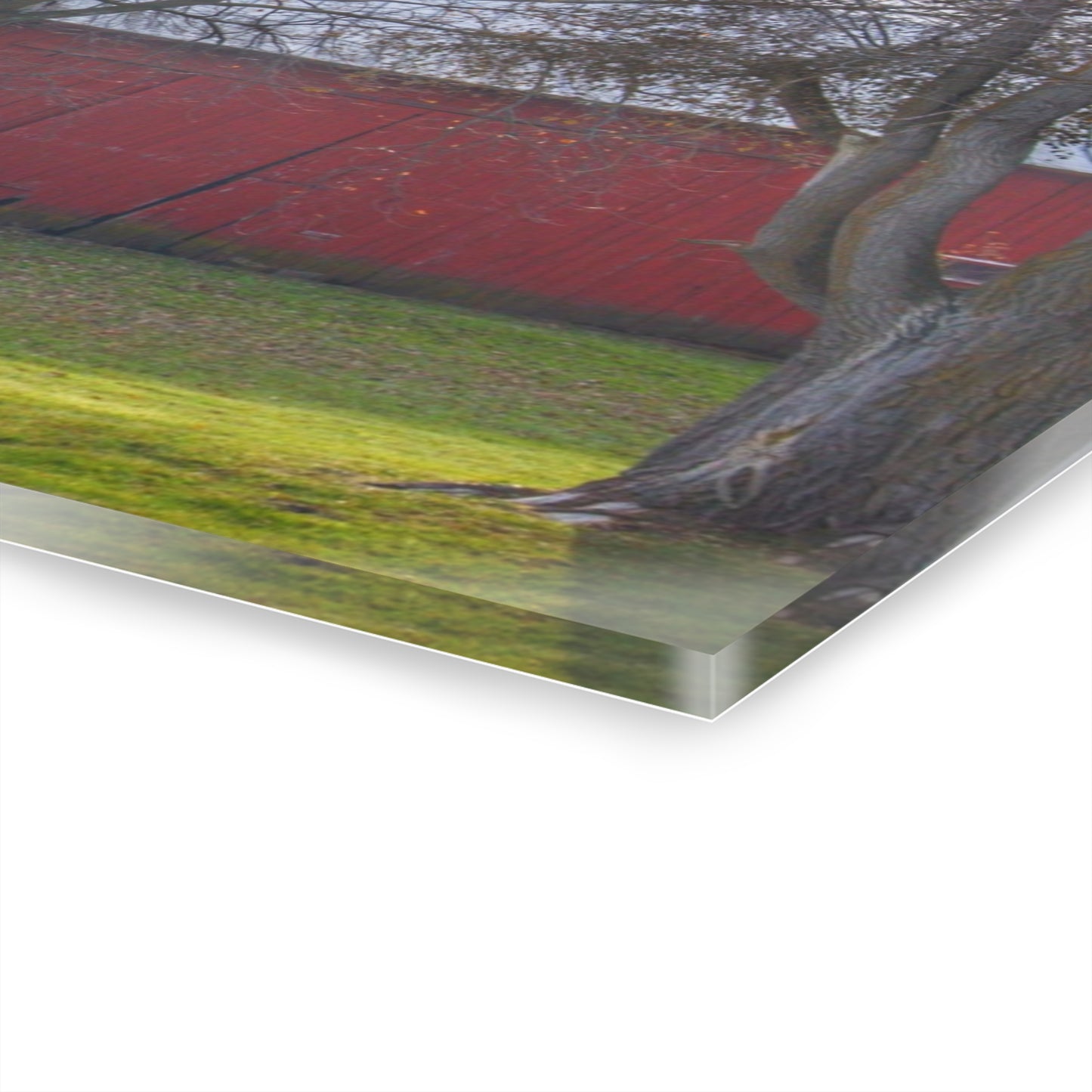 U R There Photography Vienna Road Hidden Red Rustic Farmhouse Acrylic Wall Print