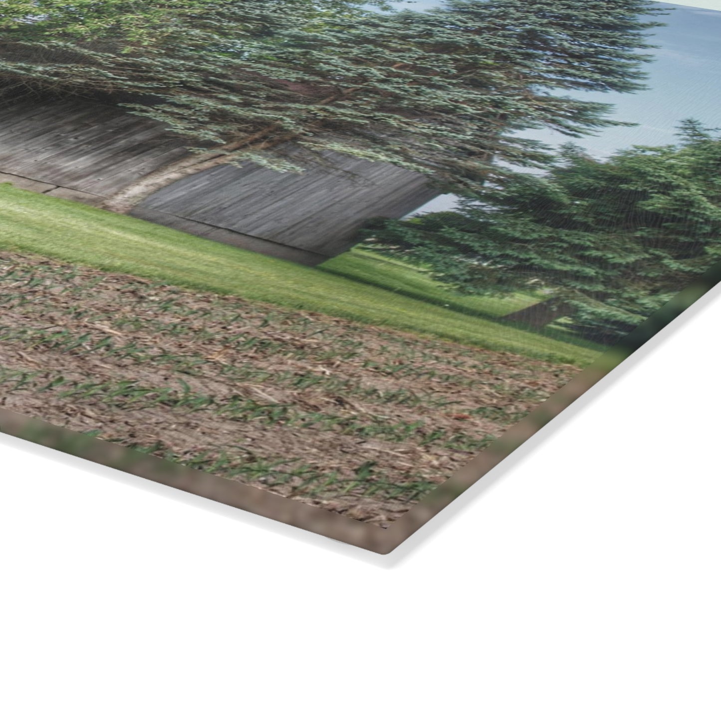 U R There Photography Barkley Road Greys II Rustic Farmhouse Tempered-Glass Cutting Board