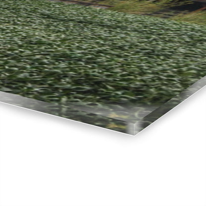 U R There Photography East Millington Road Grey and Stable Rustic Farmhouse Acrylic Wall Print