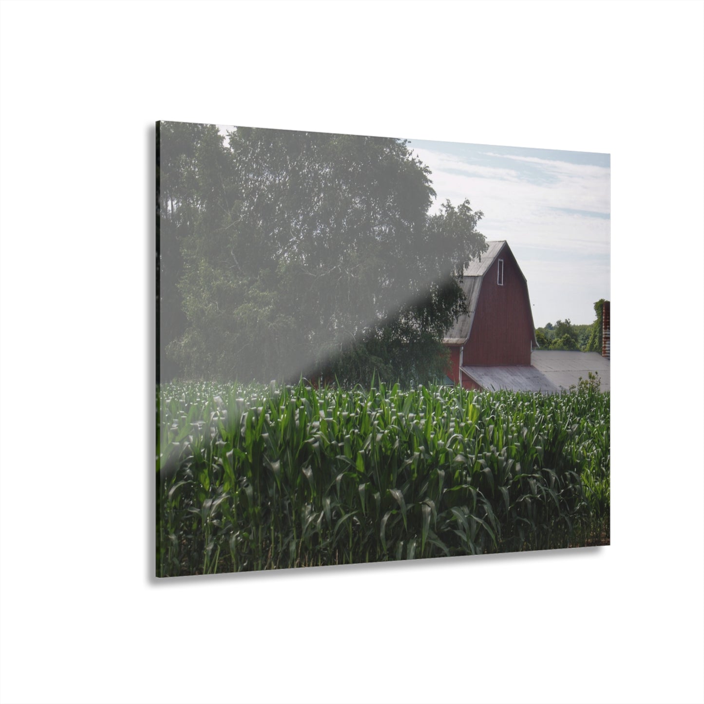 U R There Photography Above the Corn on Piersonville Road III Rustic Farmhouse Acrylic Wall Print