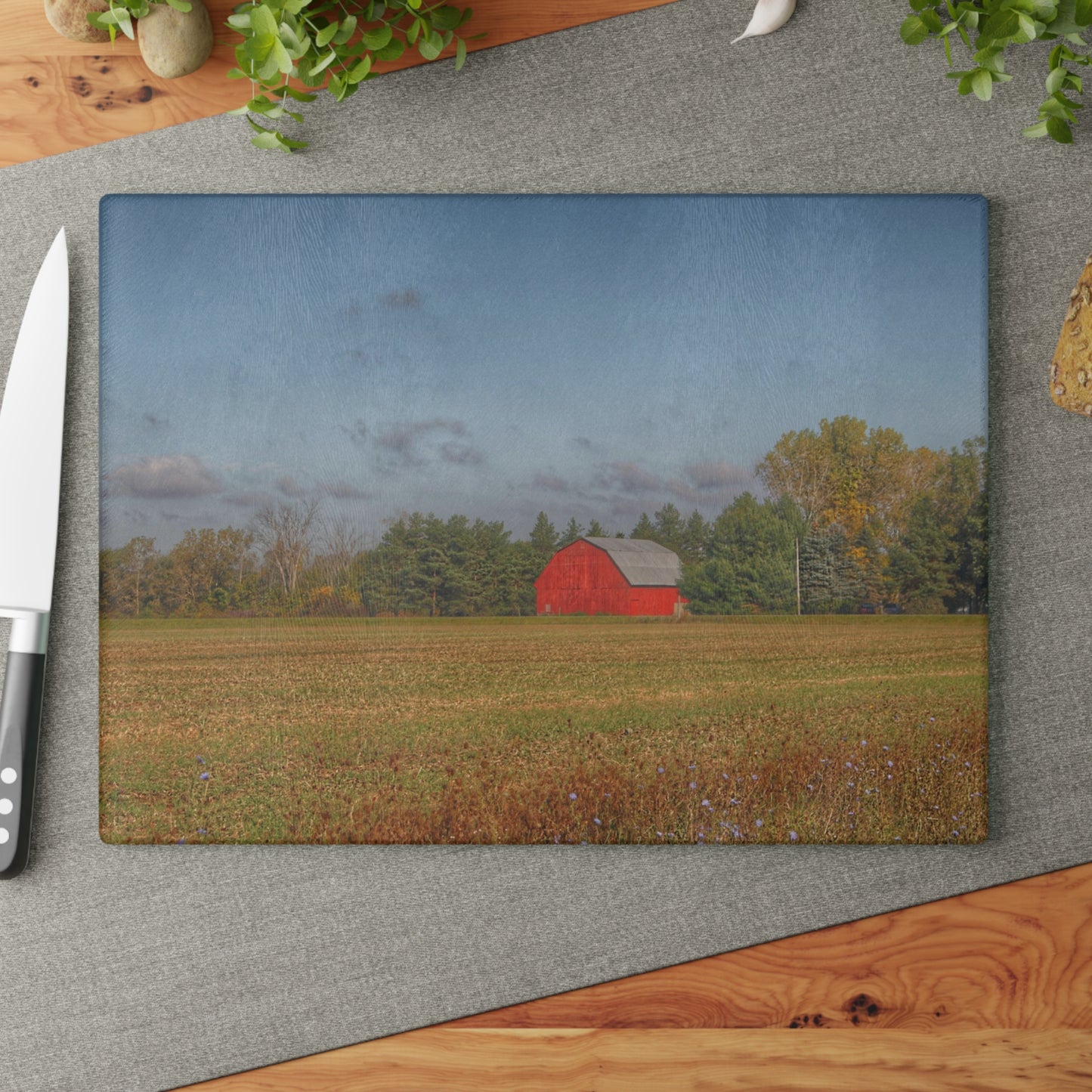 U R There Photography Fargo Road Little Red Rustic Farmhouse Tempered-Glass Cutting Board