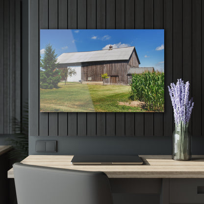 U R There Photography Frog Barn Rustic Farmhouse Acrylic Wall Print