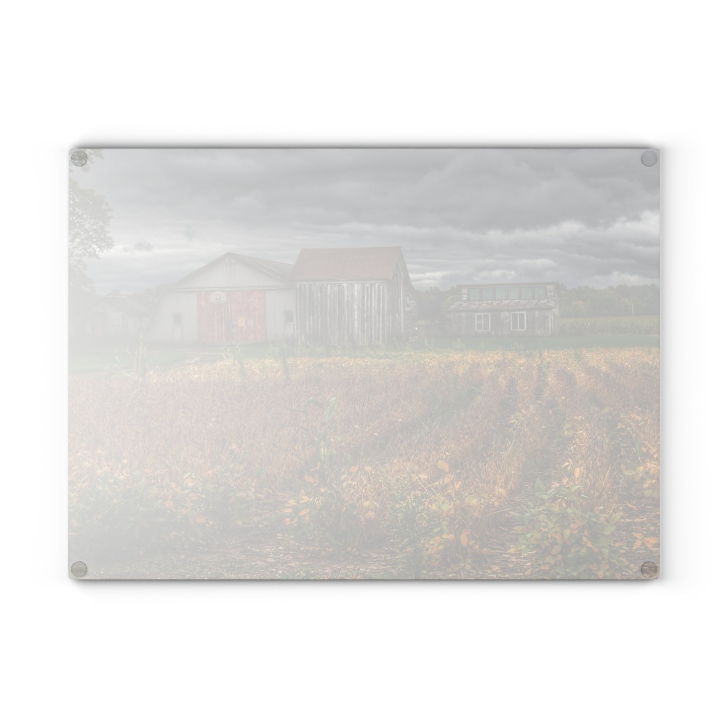 U R There Photography Murphy Lake Road Quonset Clan Rustic Farmhouse Tempered-Glass Cutting Board