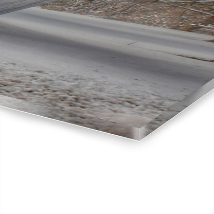 U R There Photography Ludwig Road Greys in Winter Rustic Farmhouse Acrylic Wall Print