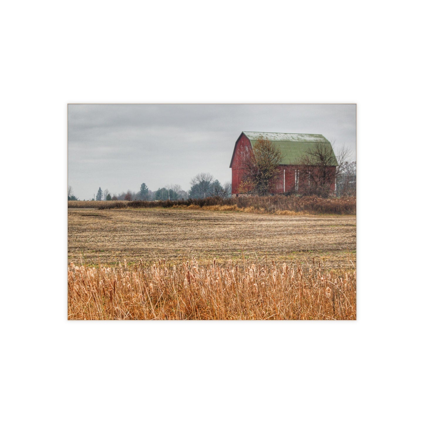 U R There Photography Bowers Road Red IV Rustic Farmhouse Decorative Ceramic Tile