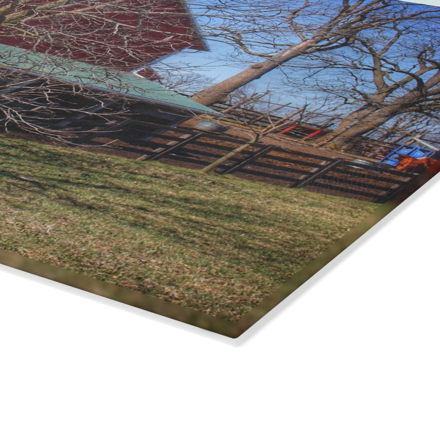 U R There Photography Imlay City Road Cow Barn I Rustic Farmhouse Tempered-Glass Cutting Board
