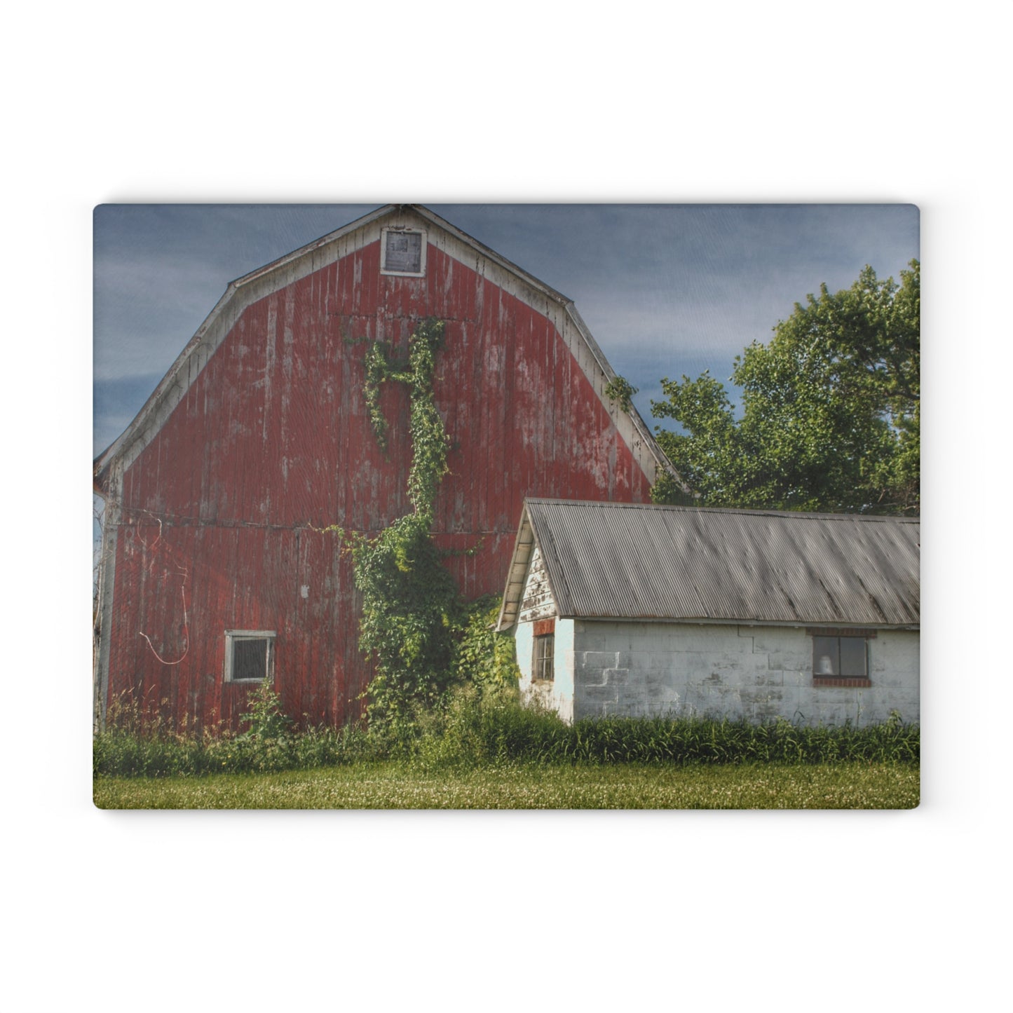 U R There Photography Stanley Road Red in Summer II Rustic Farmhouse Tempered-Glass Cutting Board