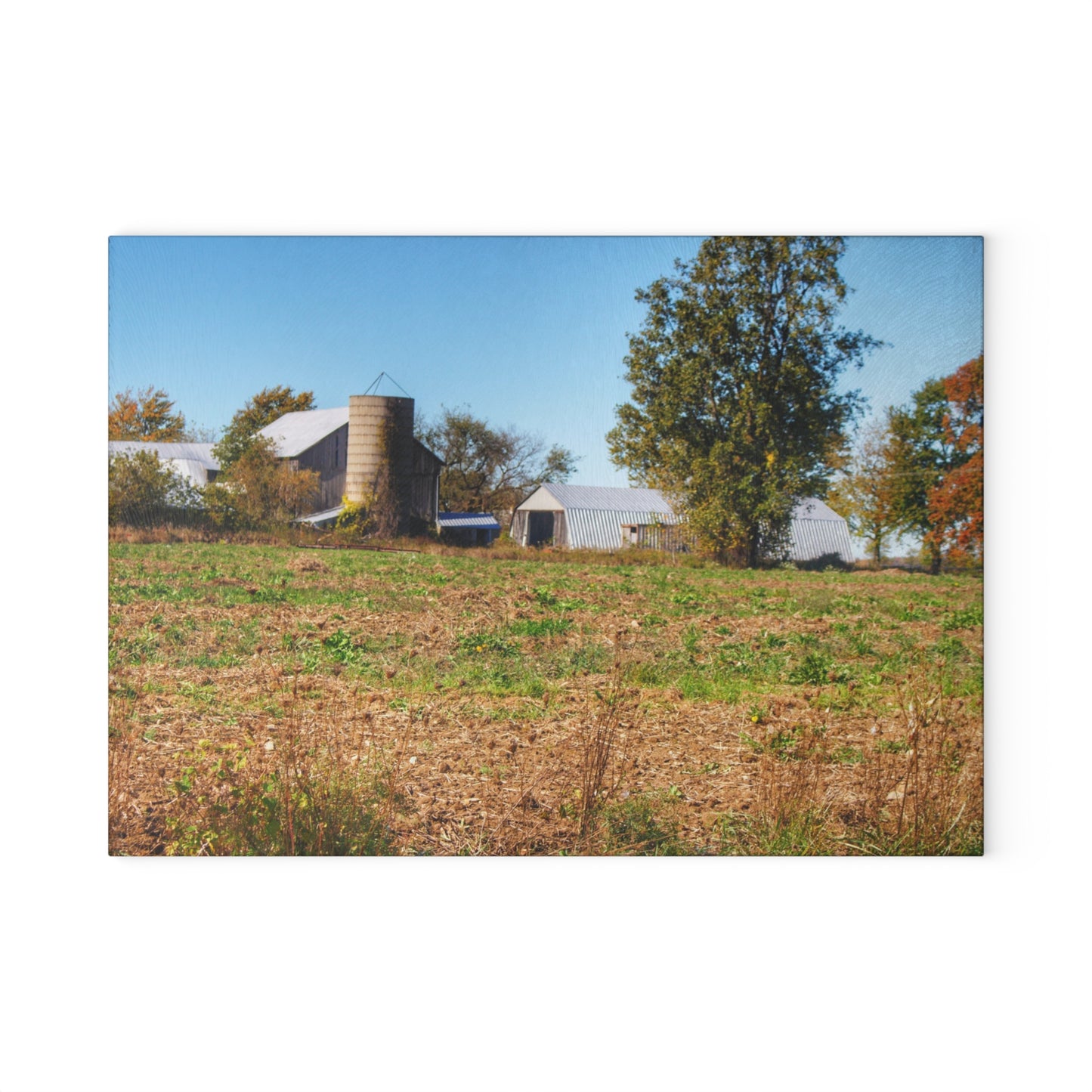 U R There Photography Freiberger Road Greys Rustic Farmhouse Tempered-Glass Cutting Board