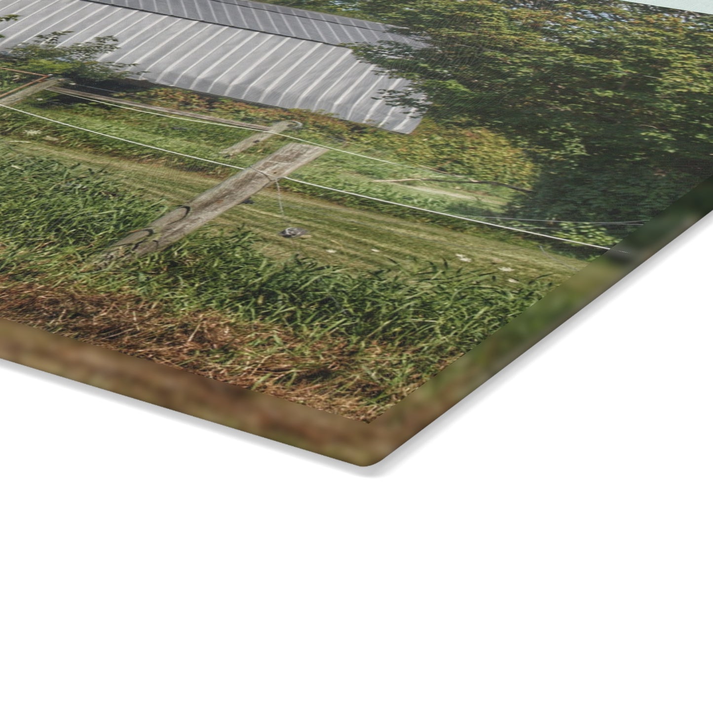 U R There Photography Old Roadside Grey Rustic Farmhouse Tempered-Glass Cutting Board