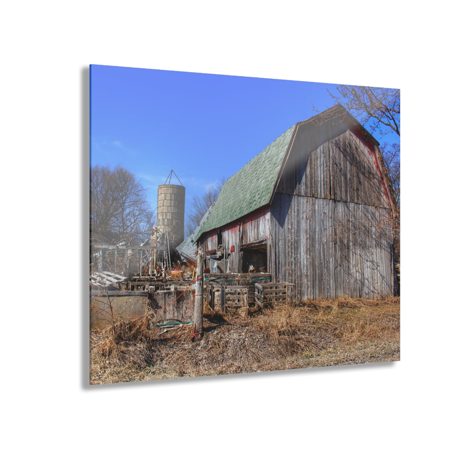 U R There Photography Romeo Plank Road Forgotten Greys Rustic Farmhouse Acrylic Wall Print