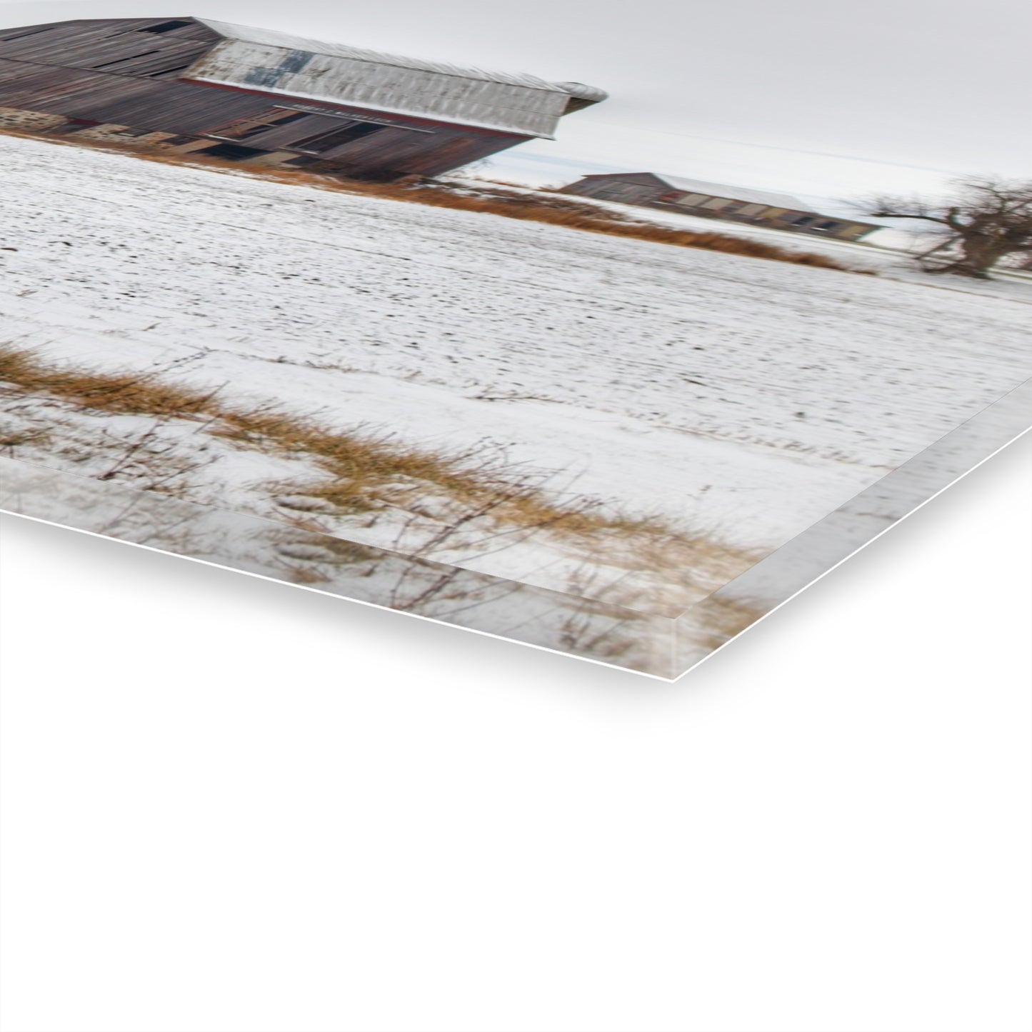 U R There Photography Frenchline Road Grey in Winter Rustic Farmhouse Acrylic Wall Print