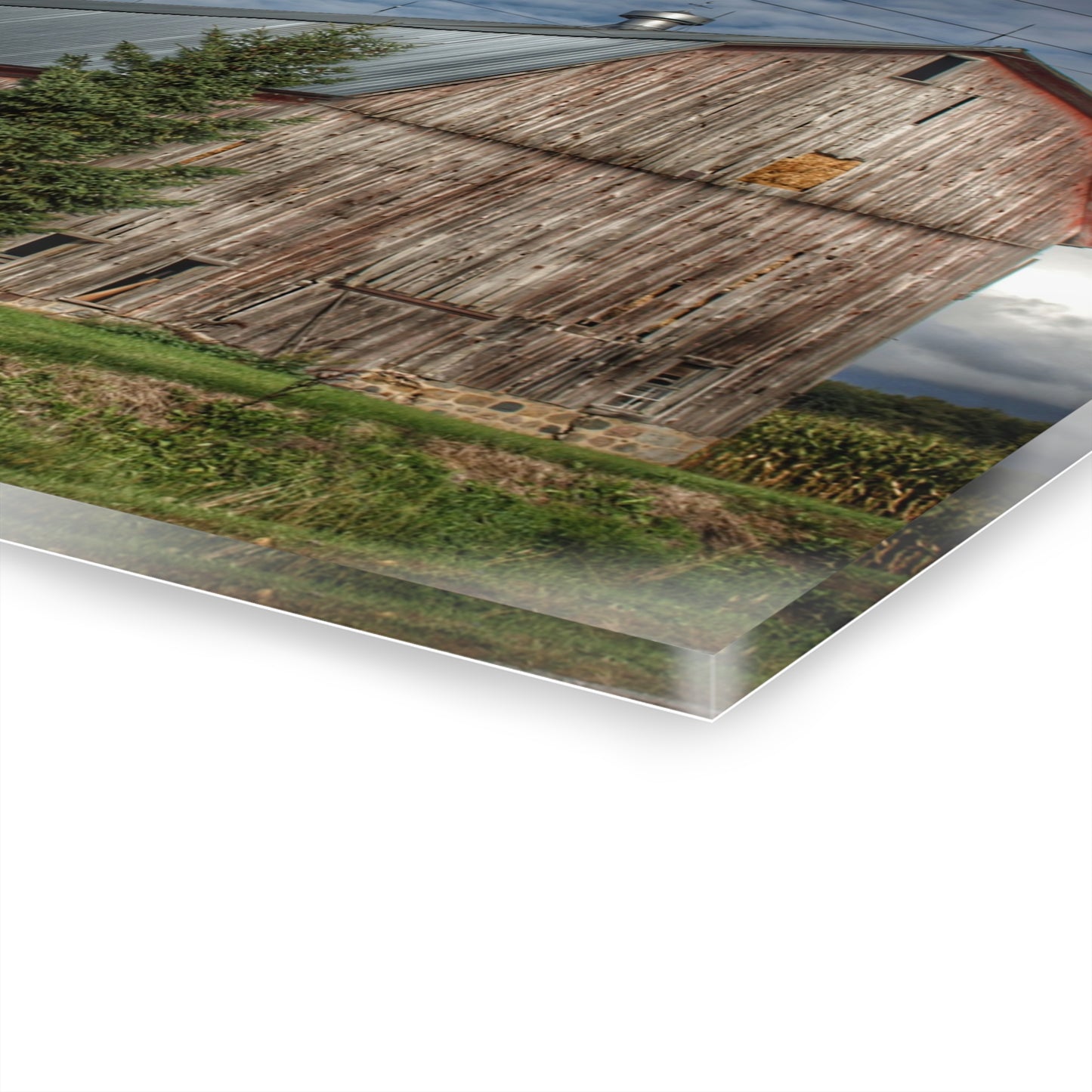 U R There Photography North Irish Red III Rustic Farmhouse Acrylic Wall Print