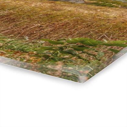 U R There Photography Hill Road Roadside Greys Rustic Farmhouse Acrylic Wall Print