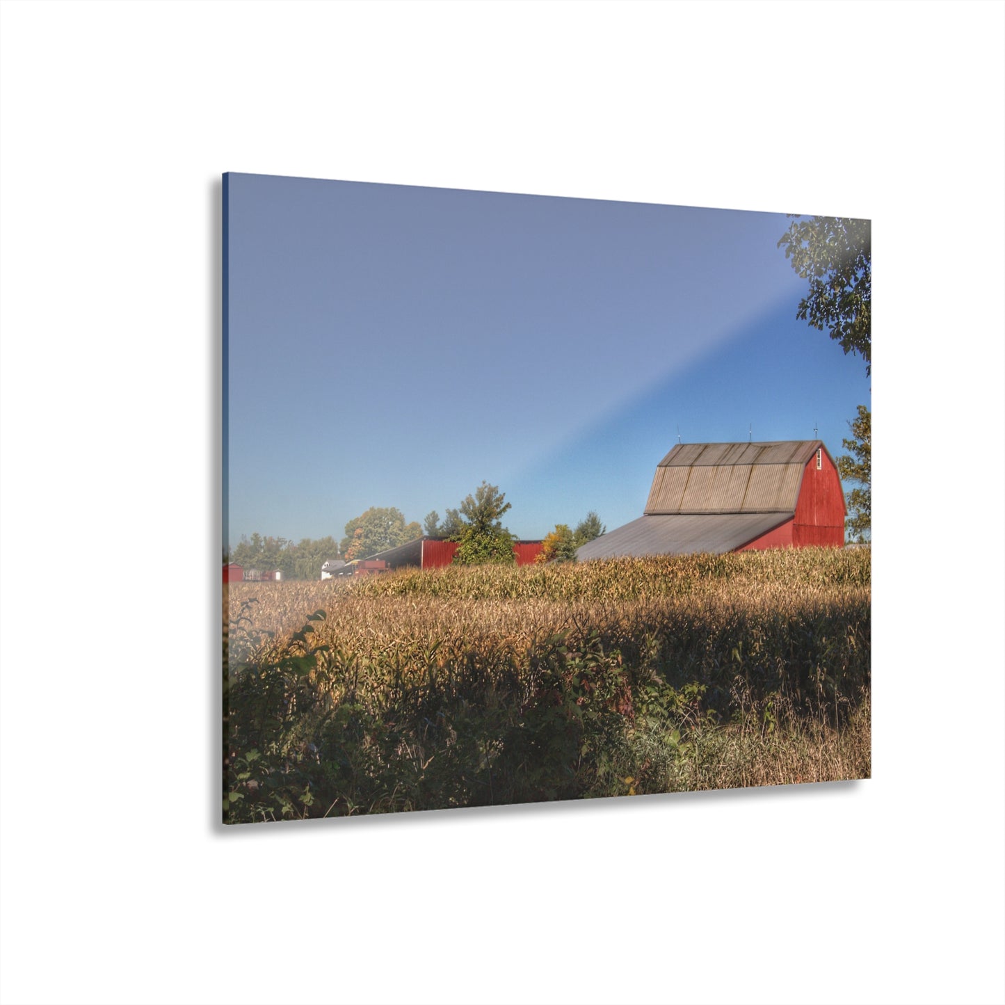 U R There Photography Red Saltbox Barn Rustic Farmhouse Acrylic Wall Print