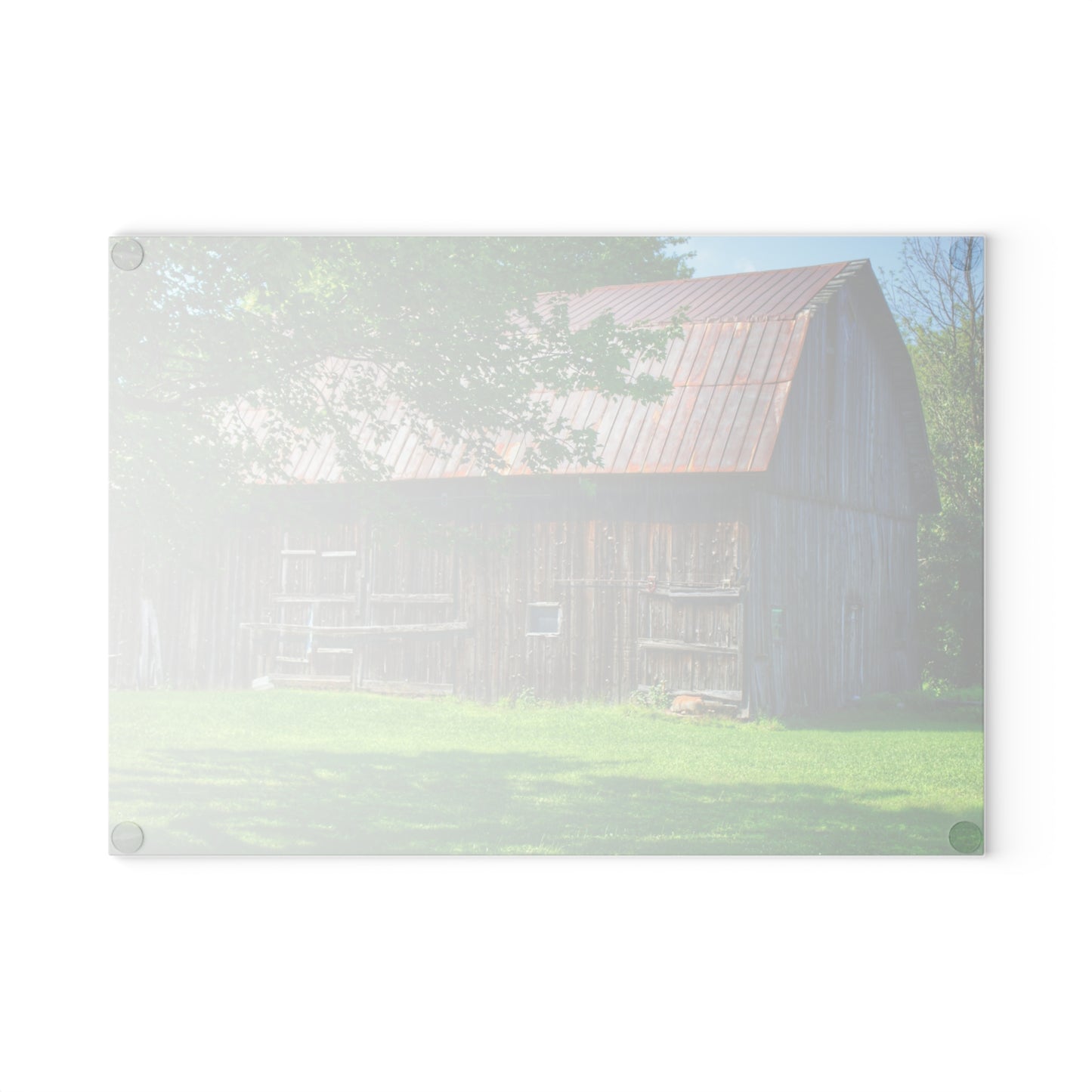 U R There Photography Sergent Road Grey Rustic Farmhouse Tempered-Glass Cutting Board