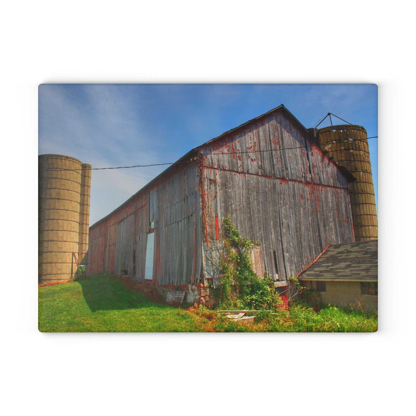 U R There Photography Marlette Red II Rustic Farmhouse Tempered-Glass Cutting Board