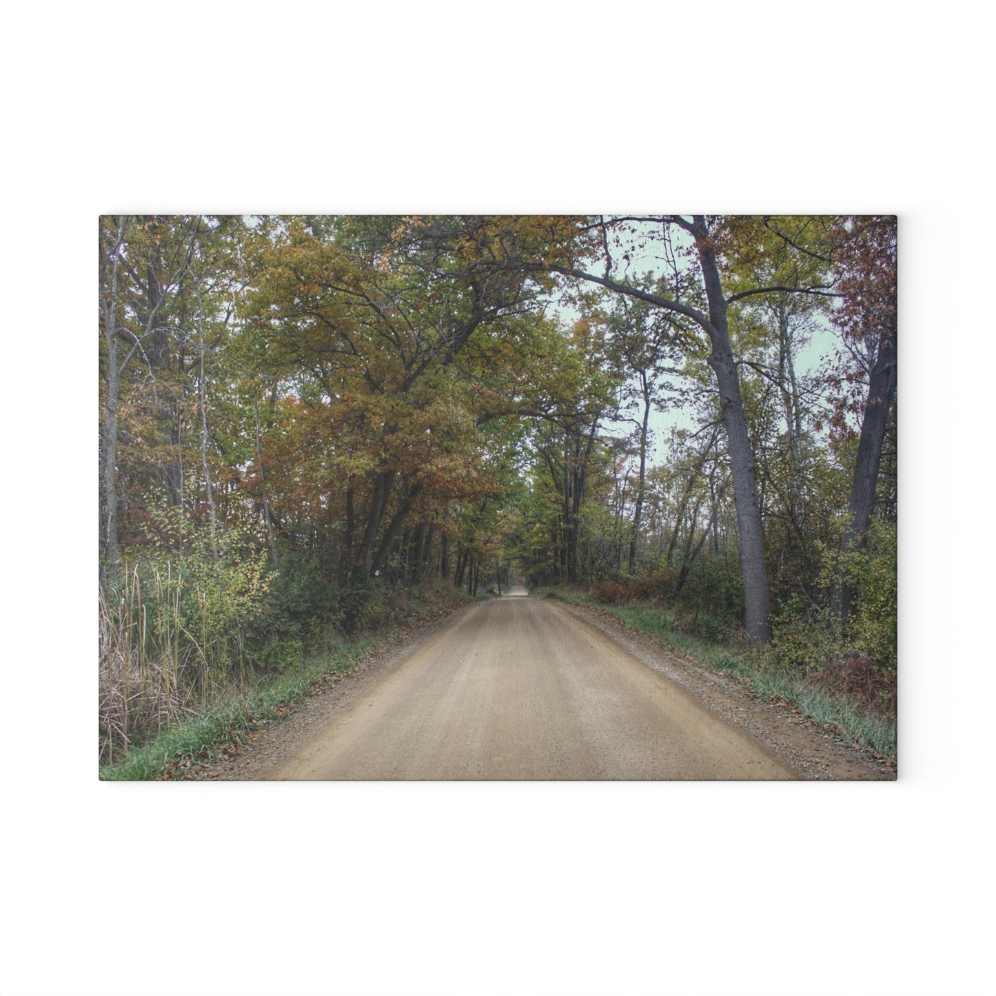 U R There Photography Country Roads in Dryden II Rustic Farmhouse Tempered-Glass Cutting Board