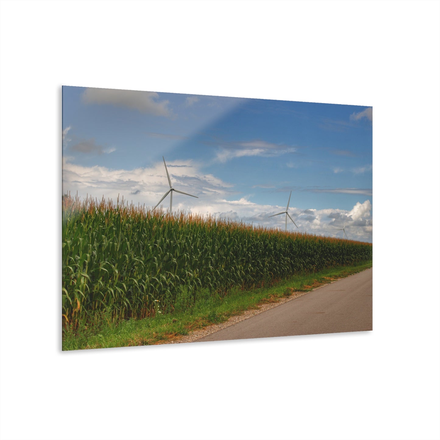 U R There Photography Gilford Road Corn Row Rustic Farmhouse Acrylic Wall Print