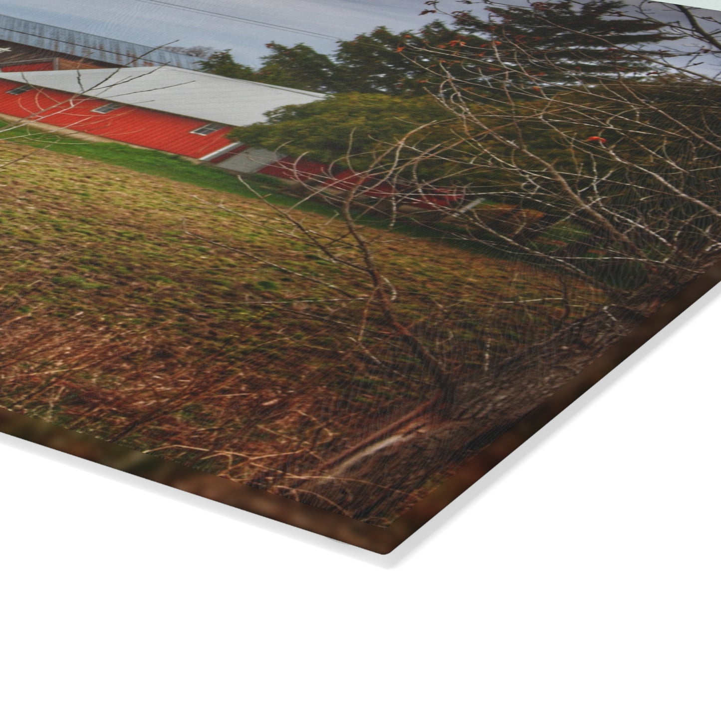 U R There Photography Fostoria Road Greys Rustic Farmhouse Tempered-Glass Cutting Board