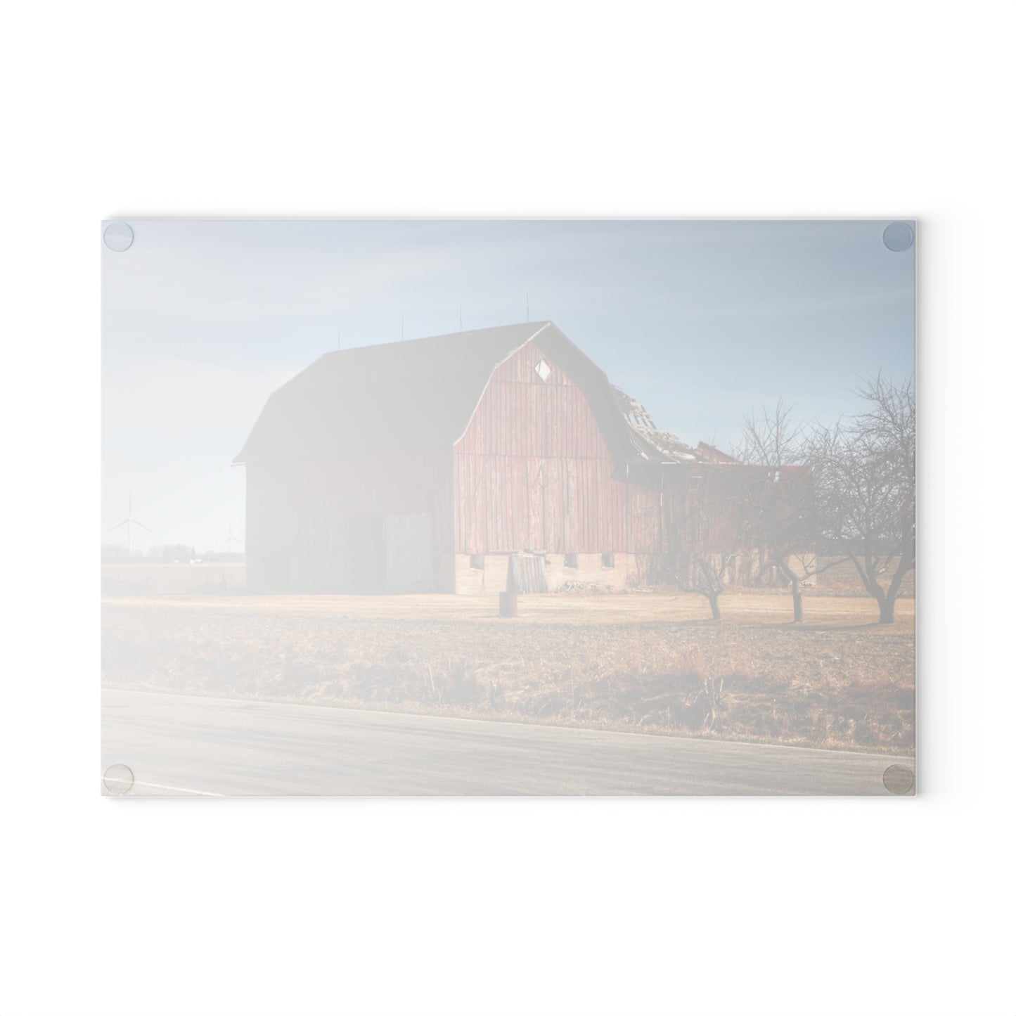 U R There Photography Elmwood Forgotten Apple Red Rustic Farmhouse Tempered-Glass Cutting Board