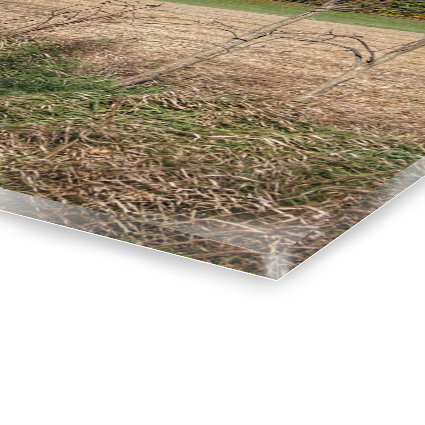 U R There Photography Fall on Piersonville Road Rustic Farmhouse Acrylic Wall Print