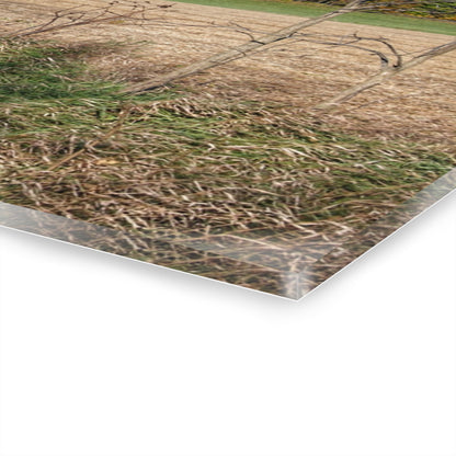 U R There Photography Fall on Piersonville Road Rustic Farmhouse Acrylic Wall Print