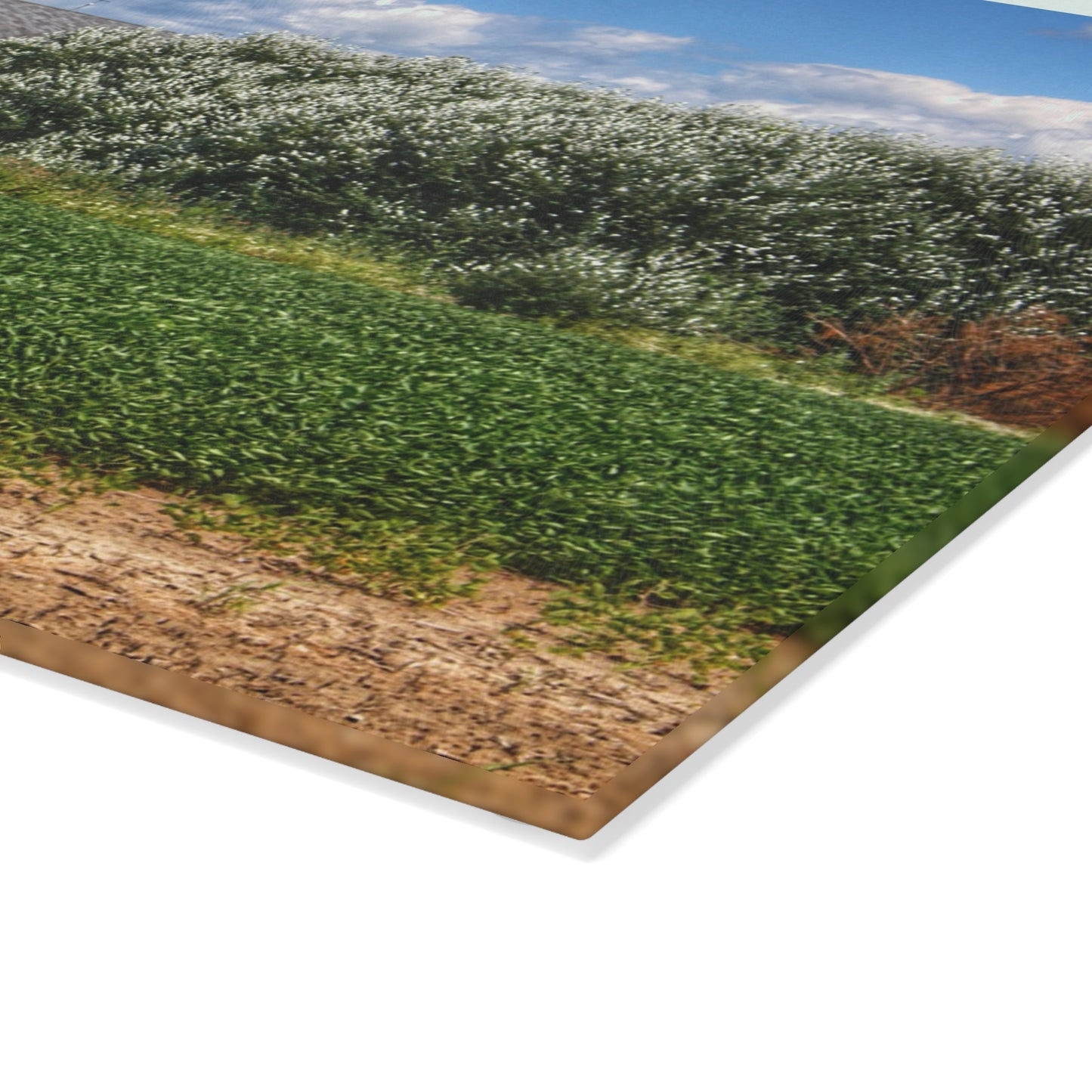 U R There Photography Lake Road Grey Rustic Farmhouse Tempered-Glass Cutting Board