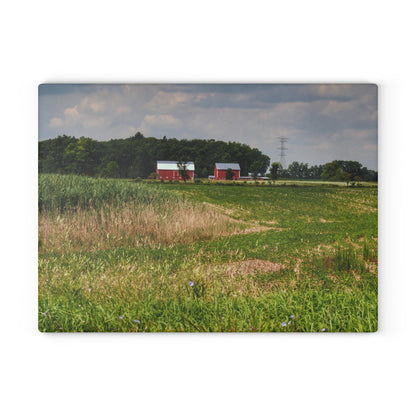 U R There Photography Across the Field in Elba II Rustic Farmhouse Tempered-Glass Cutting Board