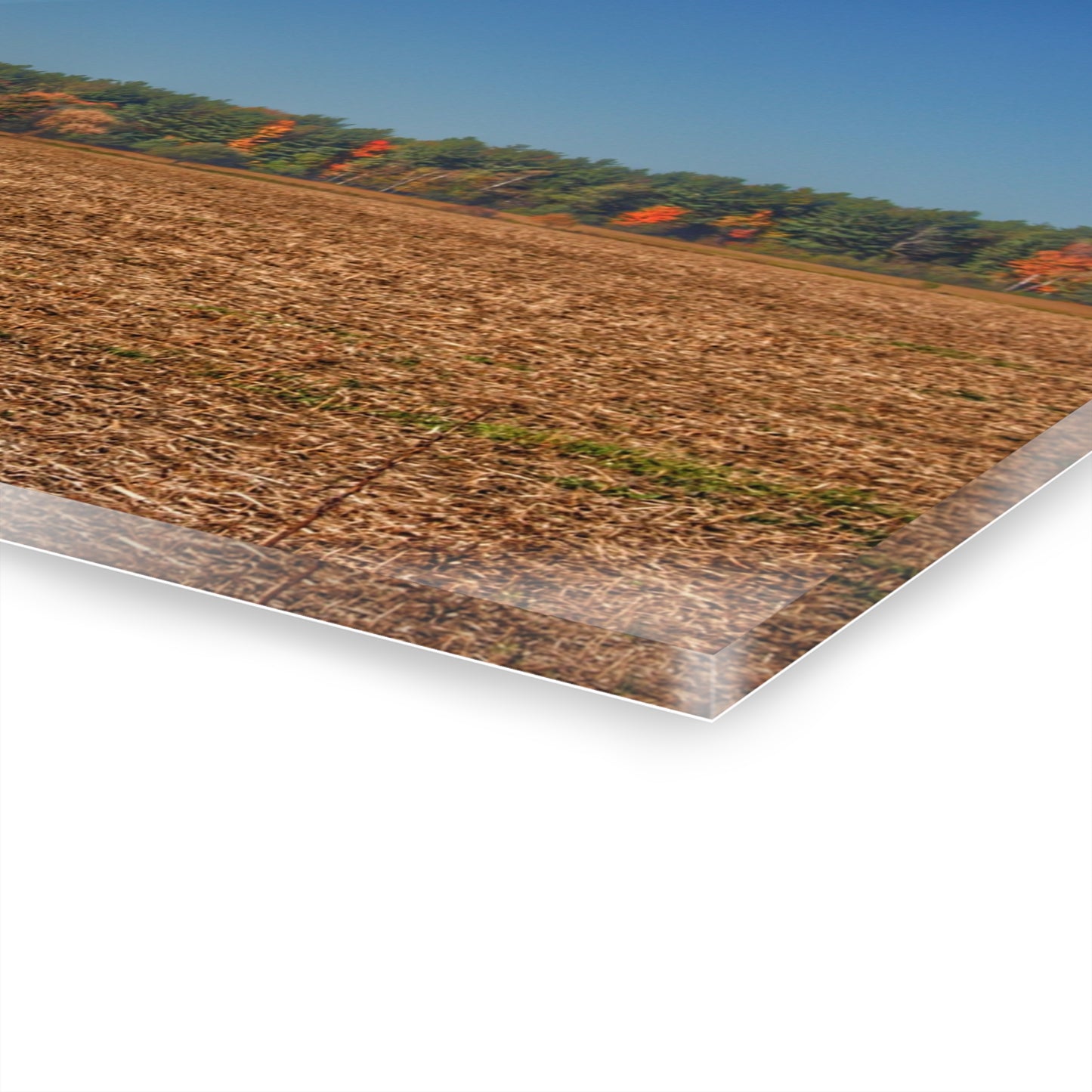 U R There Photography Rowe Road Farm Across the Field Rustic Farmhouse Acrylic Wall Print
