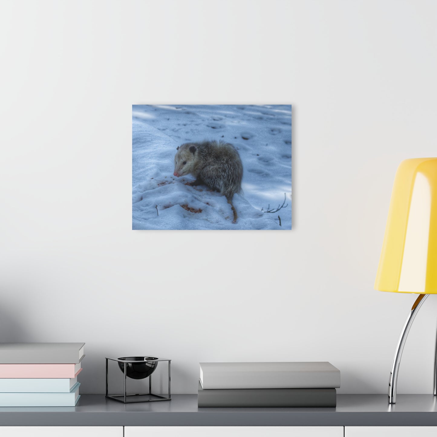 U R There Photography Sutton Road Possum Rustic Farmhouse Acrylic Wall Print