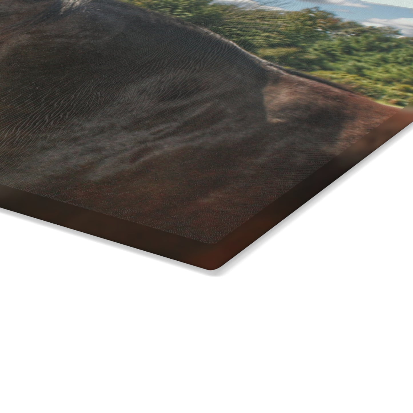 U R There Photography Brown Beauty I Rustic Farmhouse Tempered-Glass Cutting Board