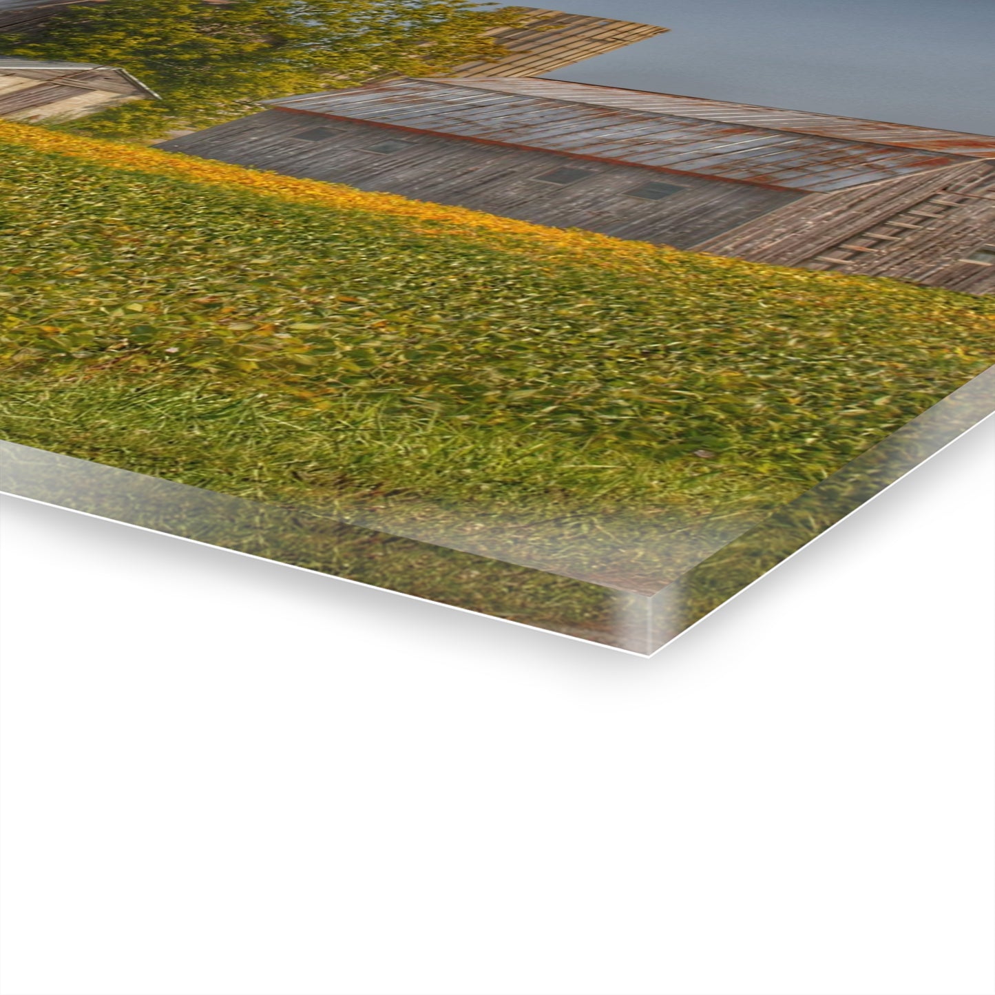 U R There Photography Swaffer Road Duo Rustic Farmhouse Acrylic Wall Print