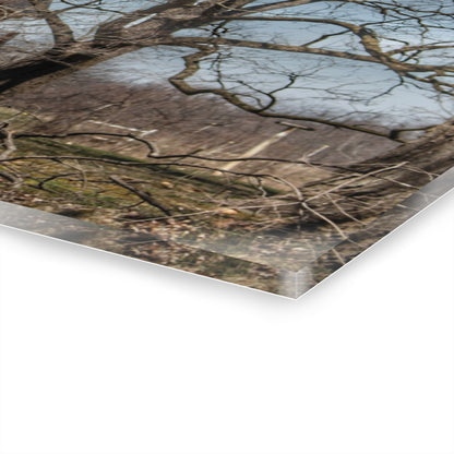 U R There Photography Hill Road Red Rustic Farmhouse Acrylic Wall Print