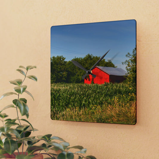 U R There Photography Willard Road Red II Rustic Farmhouse Acrylic Analog Wall Clock