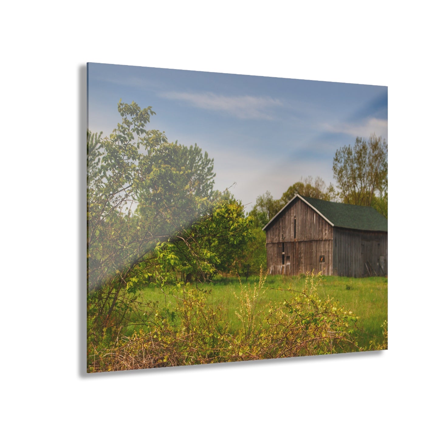 U R There Photography North Branch Little Grey Rustic Farmhouse Acrylic Wall Print
