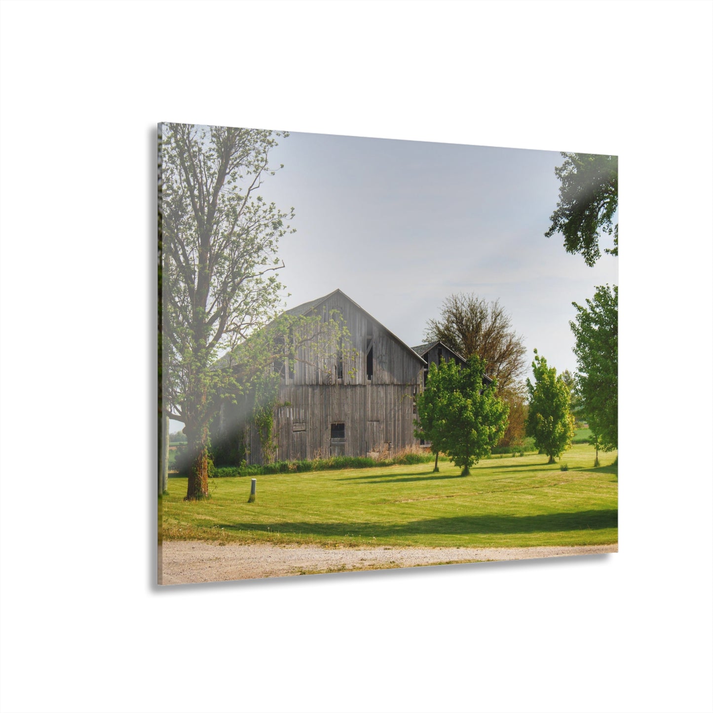 U R There Photography Caro Road Twin Greys II Rustic Farmhouse Acrylic Wall Print