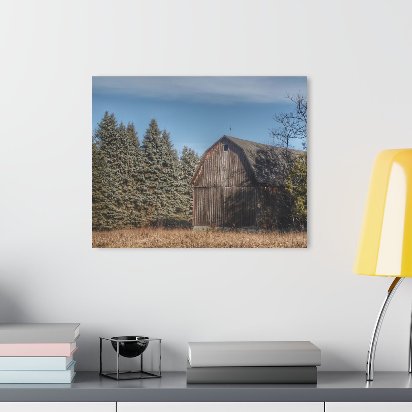 U R There Photography Washburn Old Grey Rustic Farmhouse Acrylic Wall Print