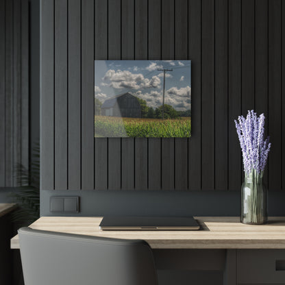 U R There Photography Grey Barn in a Cornfield Rustic Farmhouse Acrylic Wall Print