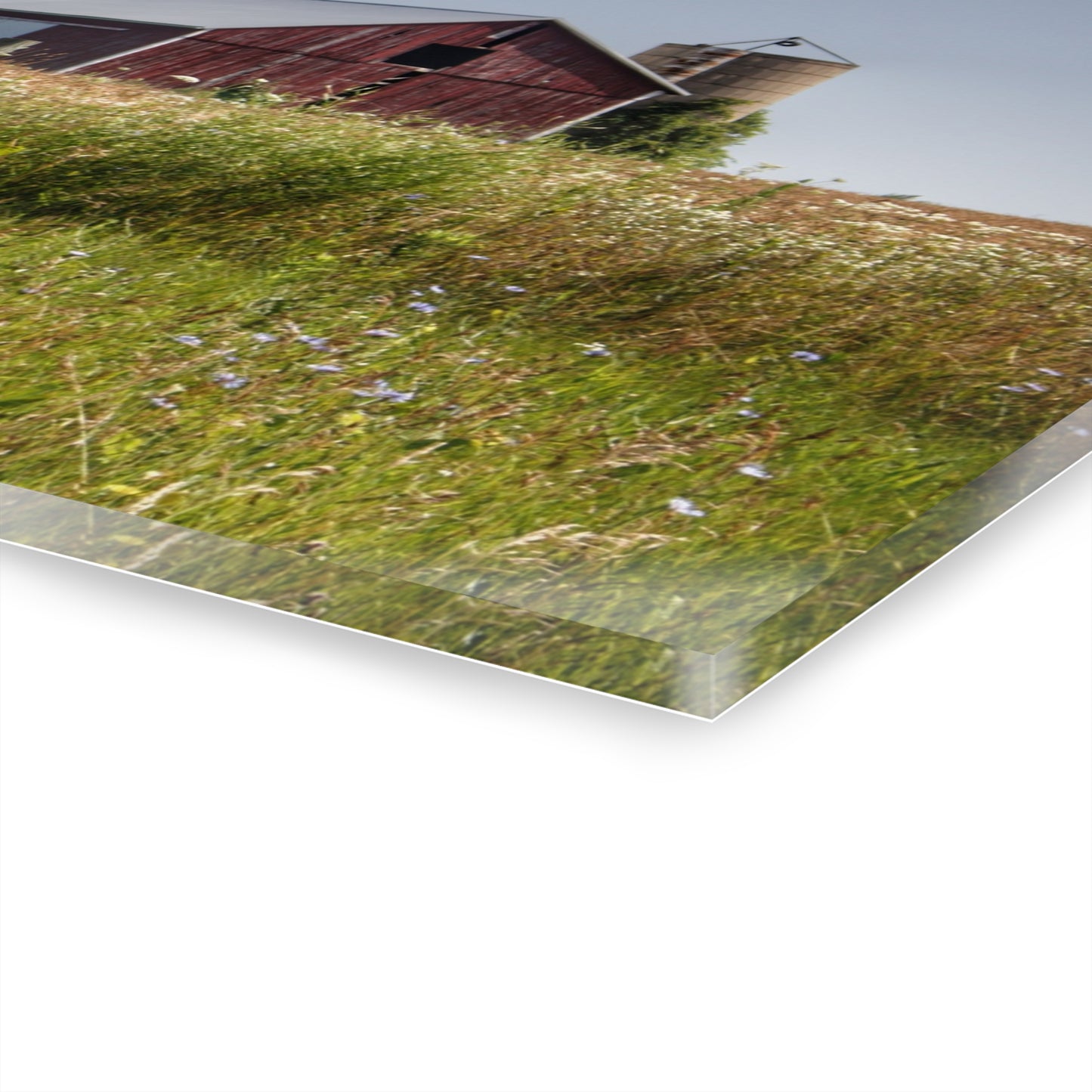 U R There Photography North Lake Pleasant Little Red I Rustic Farmhouse Acrylic Wall Print