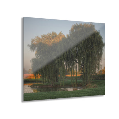 U R There Photography Sunrise on Willow Pond I Rustic Farmhouse Acrylic Wall Print